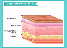 نقش اسید تراپی در پوست صورت